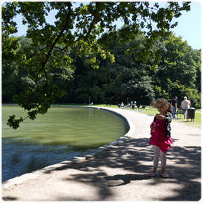 Parkbänke am Adenauer Weiher im August
