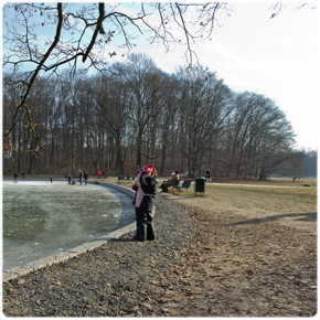 Parkbänke am Adenauer Weiher im Februar