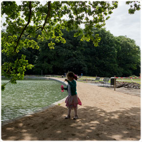 Parkbänke am Adenauer Weiher im Juni