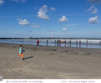 Urlaub in Belgien: Am Fischereihafen in Oostende