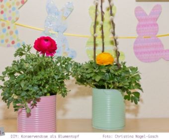 DIY: Basteln mit Konservendosen - Upcycling zum Blumentopf - Ranunkel Frühlings Blumen