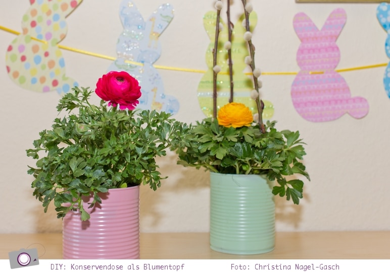 DIY: Basteln mit Konservendosen - Upcycling zum Blumentopf - Ranunkel Frühlings Blumen