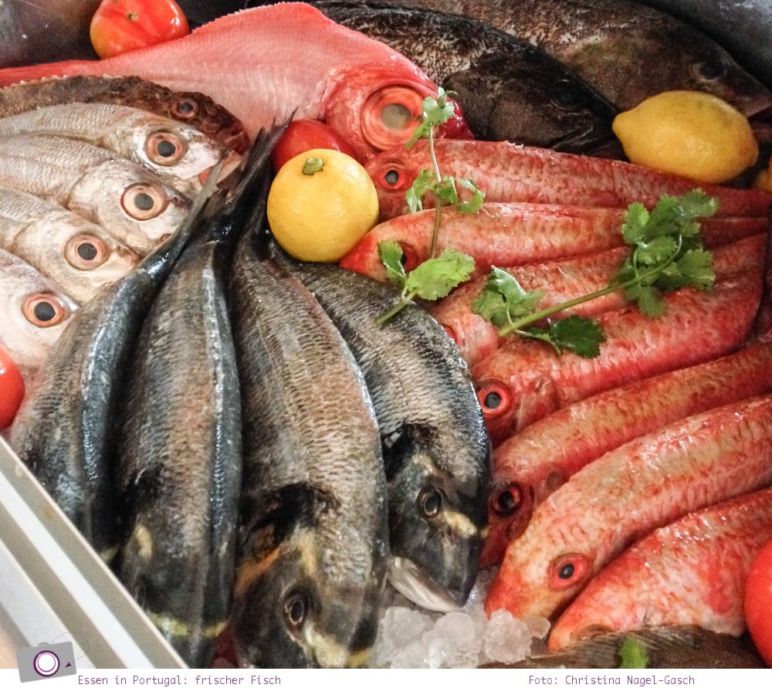 Essen in Portugal: frischer Fisch - vom Meer auf den Tisch