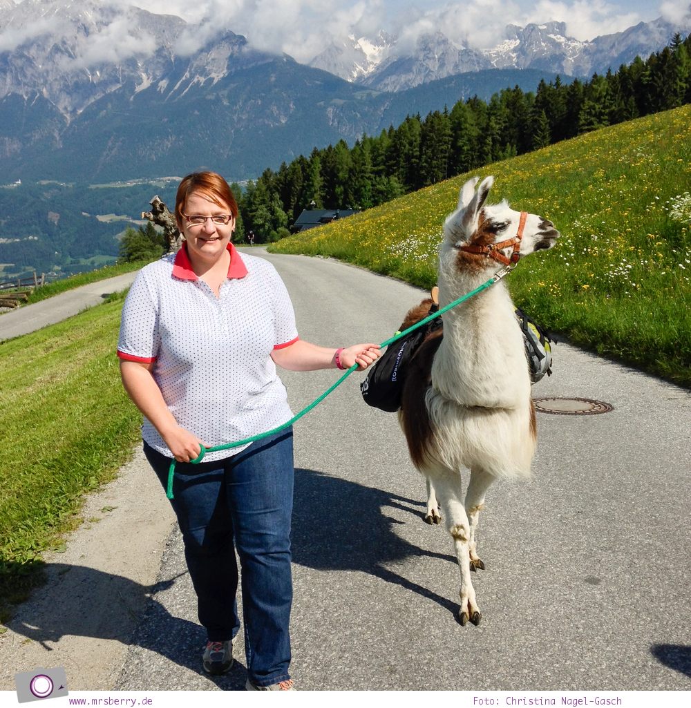 Reisefit: Bewegung beim Lamatrekking in den Alpen