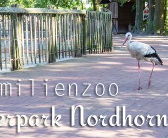 Ferien im Emsland: Tierpark Nordhorn