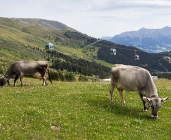 Panorama-Genuss-Wanderweg in Serfaus, Tirol