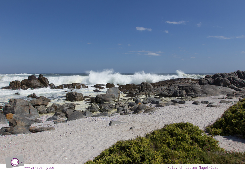 Südafrika (Western Cape): Rock Shores im West Coast National Park
