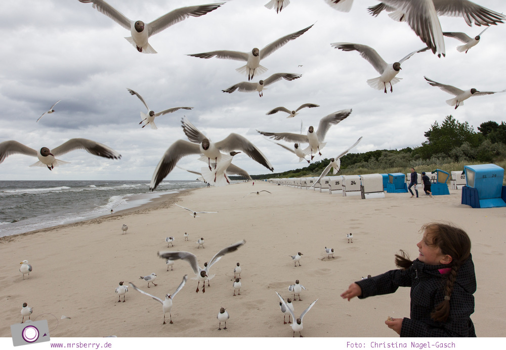 Usedom - Ausflüge für Familien und Kinder: ein Tag am Strand