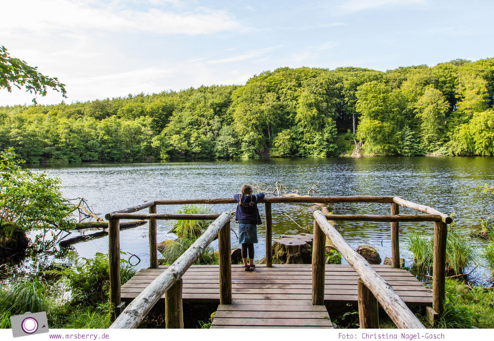 Rügen erleben: UNESCO Weltnaturerbe Buchenwälder im Nationalpark Jasmund - Aussicht auf den Herthasee