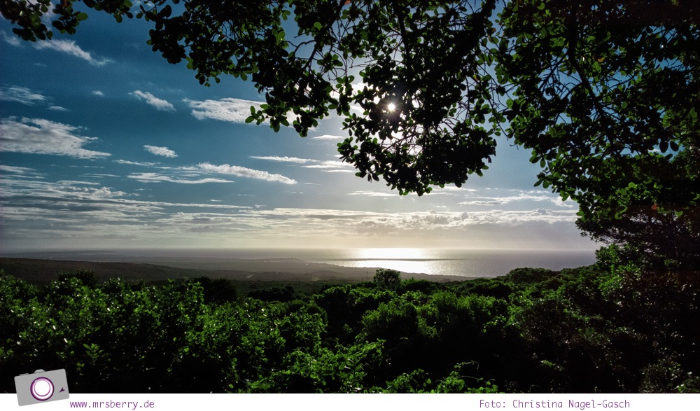 Südafrika #9: Aussicht vom Grootbos Private Nature Reserve auf die Walker Bay