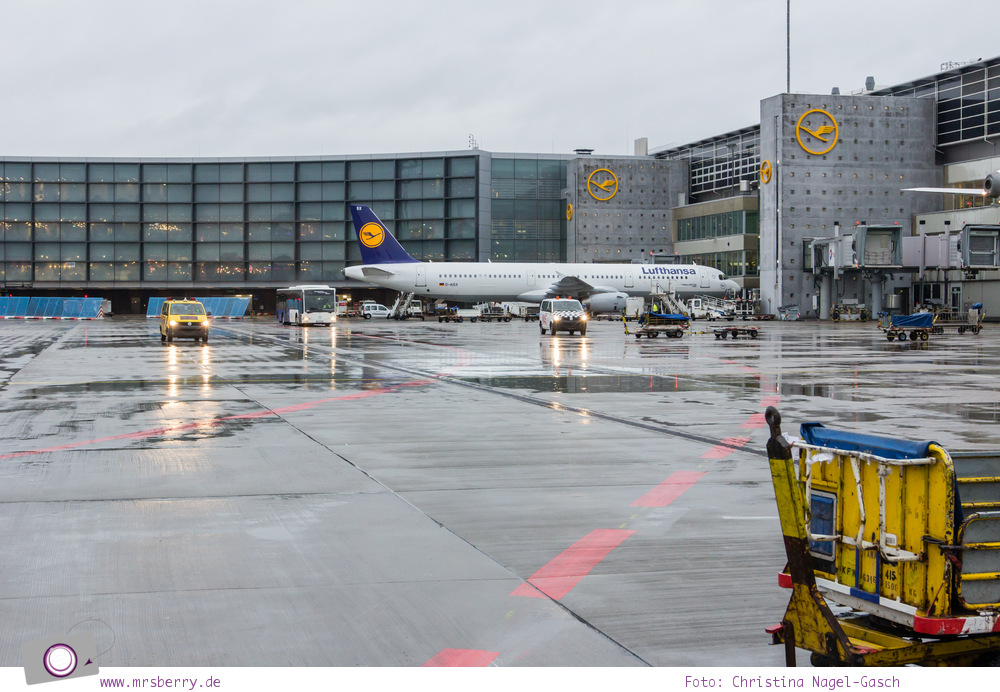 Condor: Ein Blick hinter die Kulissen von Deutschland größtem Ferienflieger #InsightCondor | Flughafenrundfahrt FraPort