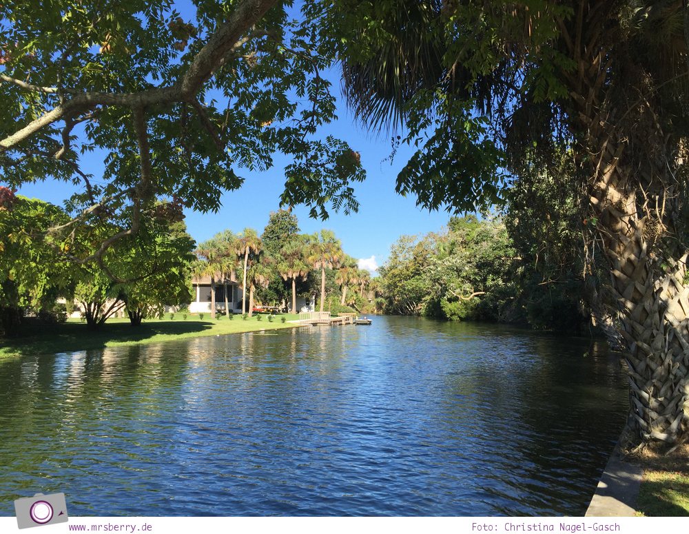 Florida Rundreise: Kings Bay in Crystal River - Zuhause der Seekühe