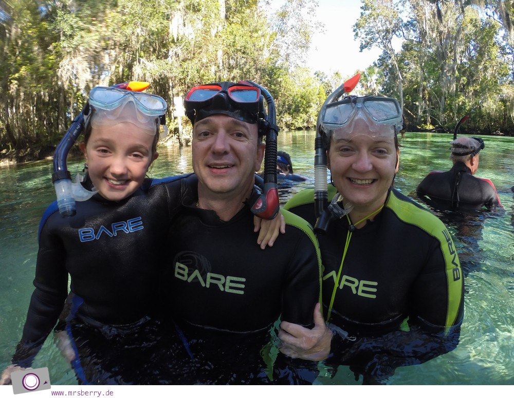 Florida Rundreise: Schwimmen mit Seekühen (Manatees) in der Kings Bay in Crystal River - Zuhause der Seekühe