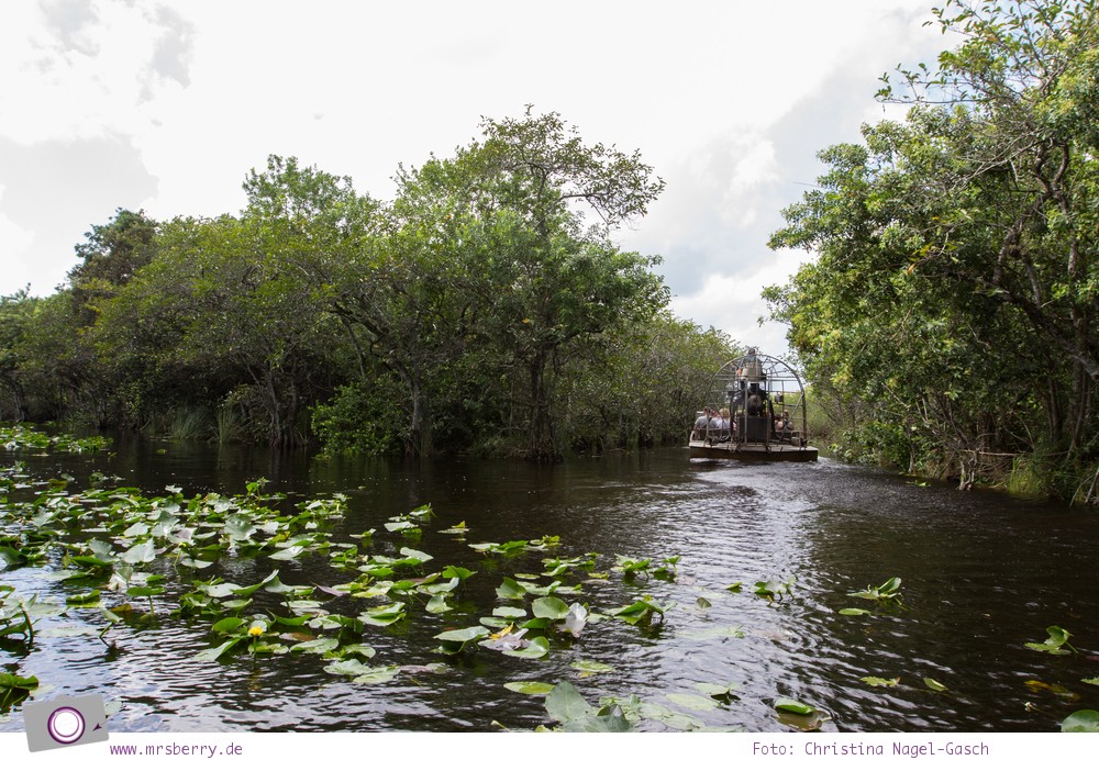 Florida Rundreise: Airboat Tour durch die Everglades