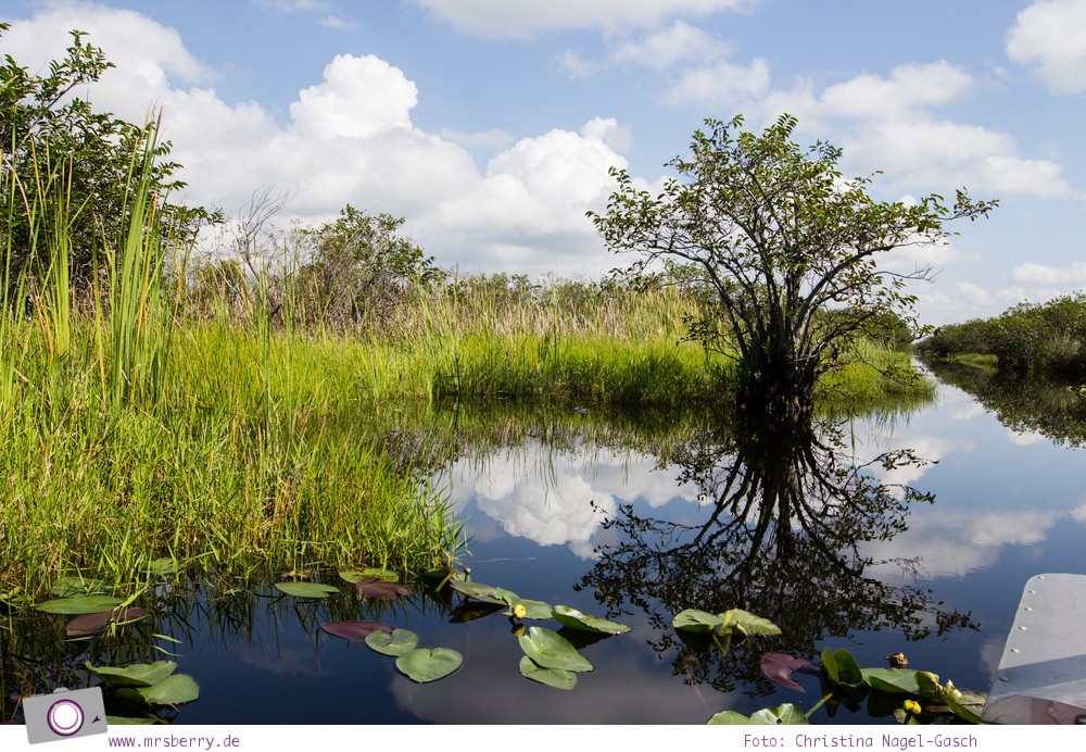 Florida Rundreise: Airboat Tour durch die Everglades