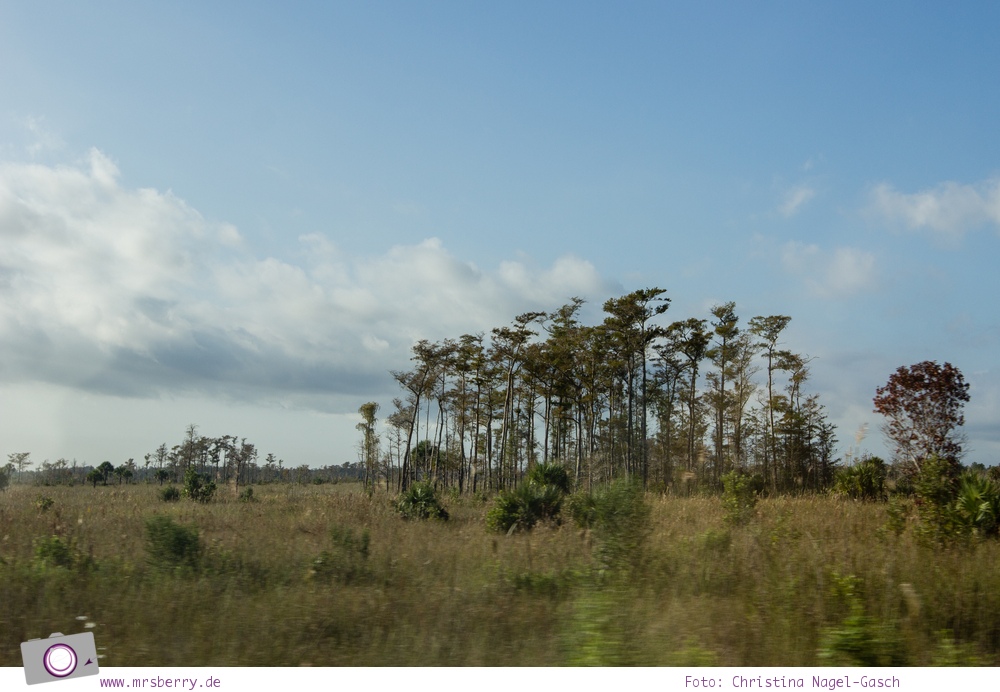Florida Rundreise: auf dem Tamiami Trail durch die Everglades