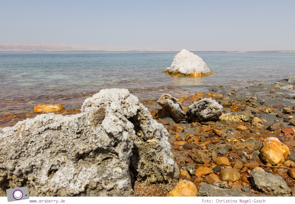 Rundreise Jordanien - ein Reisebericht: salzbedeckte Steine am Toten Meer