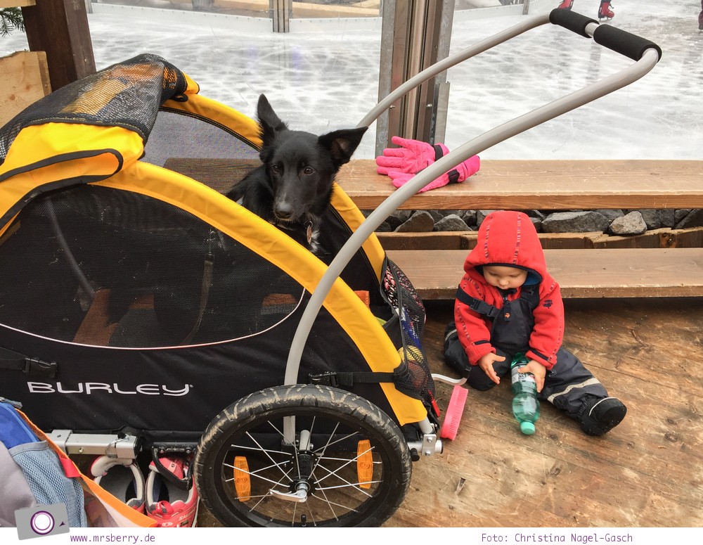 Fahrradfahren mit Hund der Hundeanhänger von Burley MrsBerry