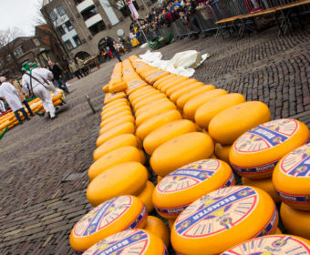 Käsemarkt in Alkmaar: vom Setzer perfekt gestapelte Käselaibe auf dem Marktplatz