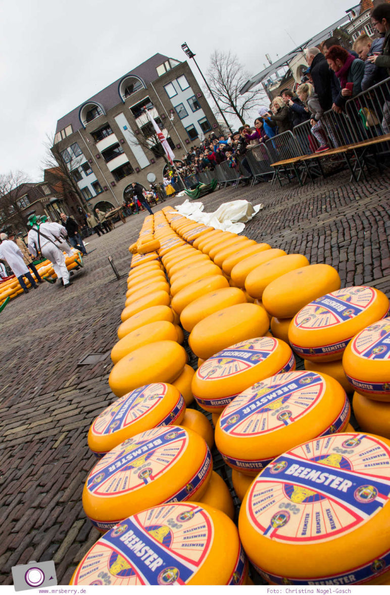 Käsemarkt in Alkmaar: vom Setzer perfekt gestapelte Käselaibe auf dem Marktplatz
