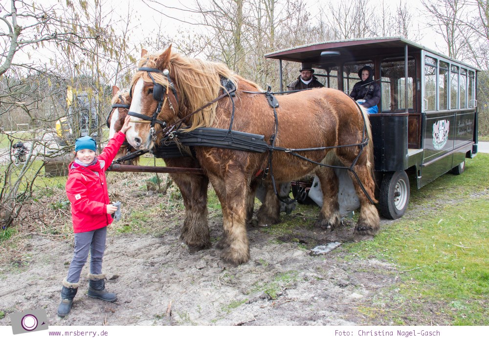 Urlaub auf Texel mit Kind und Hund - Rundfahrt mit der Texeler Pferdestrassenbahn