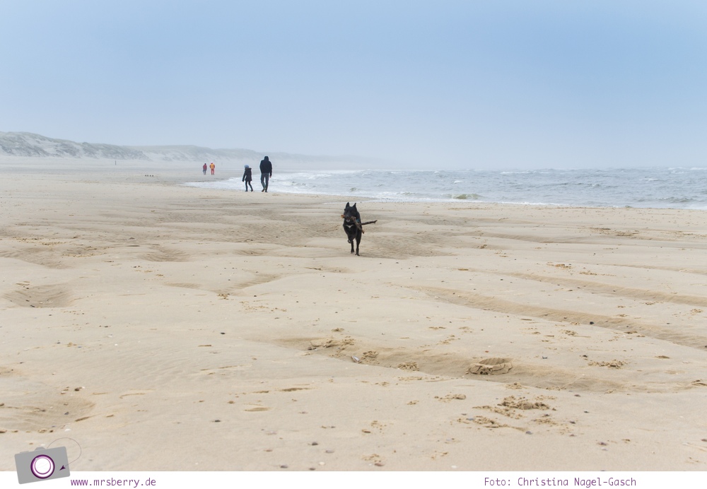 Urlaub auf Texel mit Kind und Hund - Naturschutzgebiet De Slufter