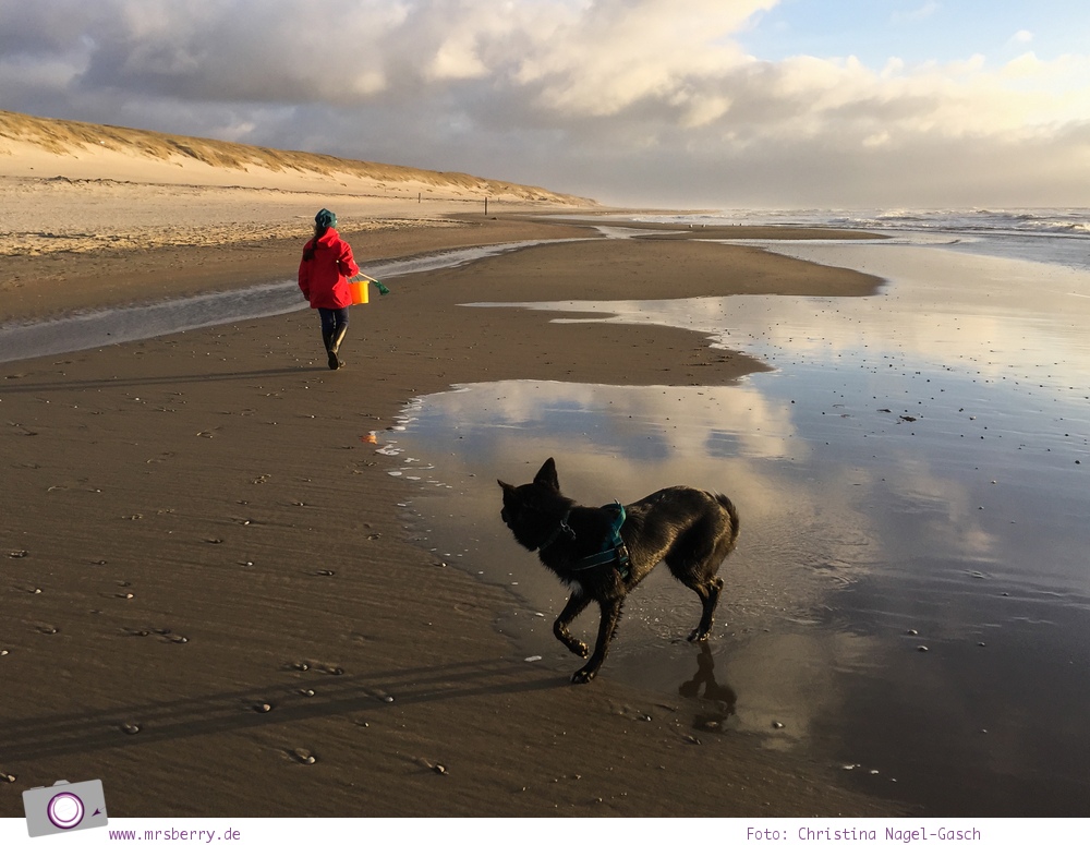 Urlaub auf Texel mit Kind und Hund - Sonnenuntergang über der Nordsee