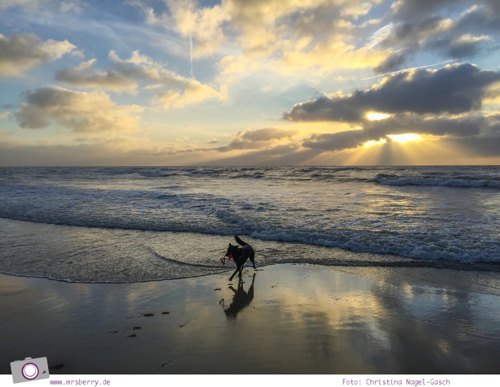 Urlaub auf Texel mit Kind und Hund - Sonnenuntergang über der Nordsee