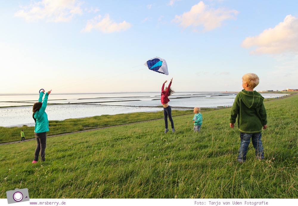 Norddeich: 16 Freizeittipps für Familien an der Nordsee - Drachen steigen am Deich