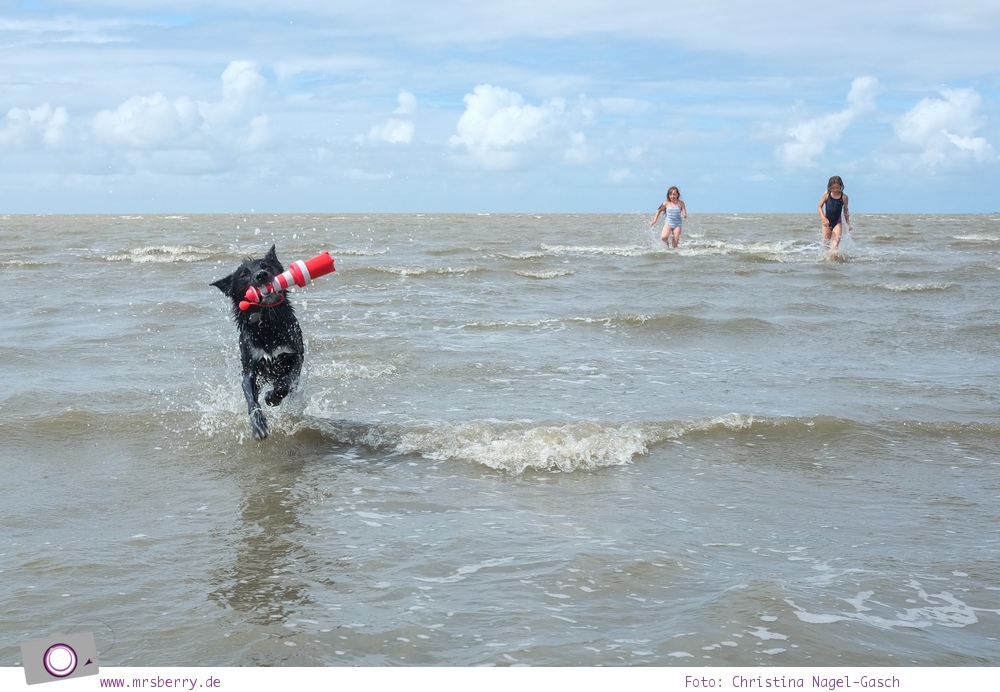 Norddeich: 16 Freizeittipps für Familien an der Nordsee - Hundestrand
