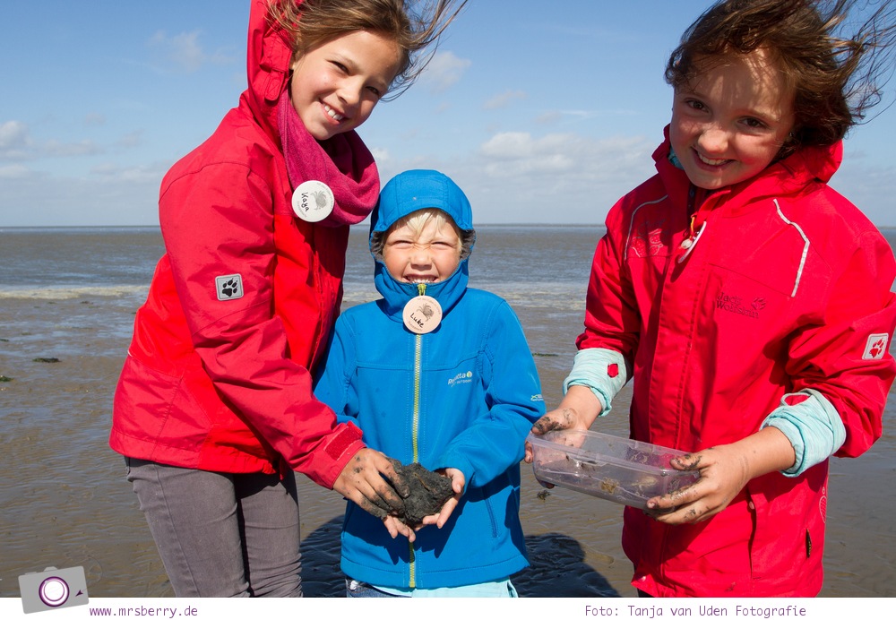 Norddeich: 16 Freizeittipps für Familien an der Nordsee - Watt für Zwerge - Wattführung für Kinder
