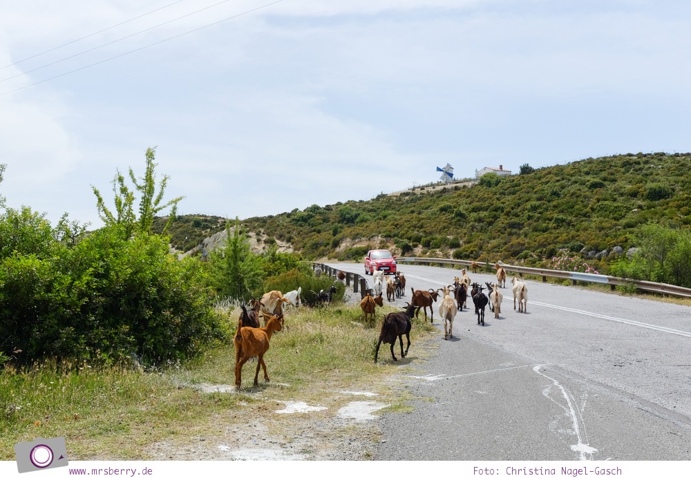 MrsBerry.de | Urlaub in Griechenland, Chalkidiki: Rundfahrt auf Sithonia - Taverne Panorama
