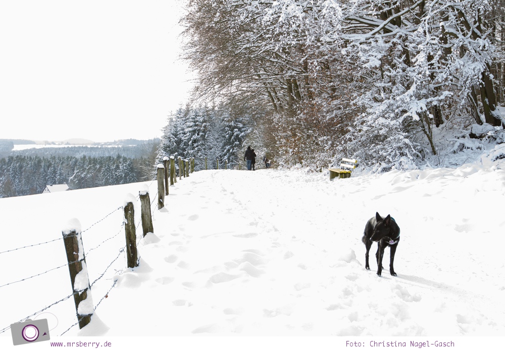 MrsBerry.de | Winter und Schnee in der Eifel: Rodeln am Michelsberg in Bad Münstereifel