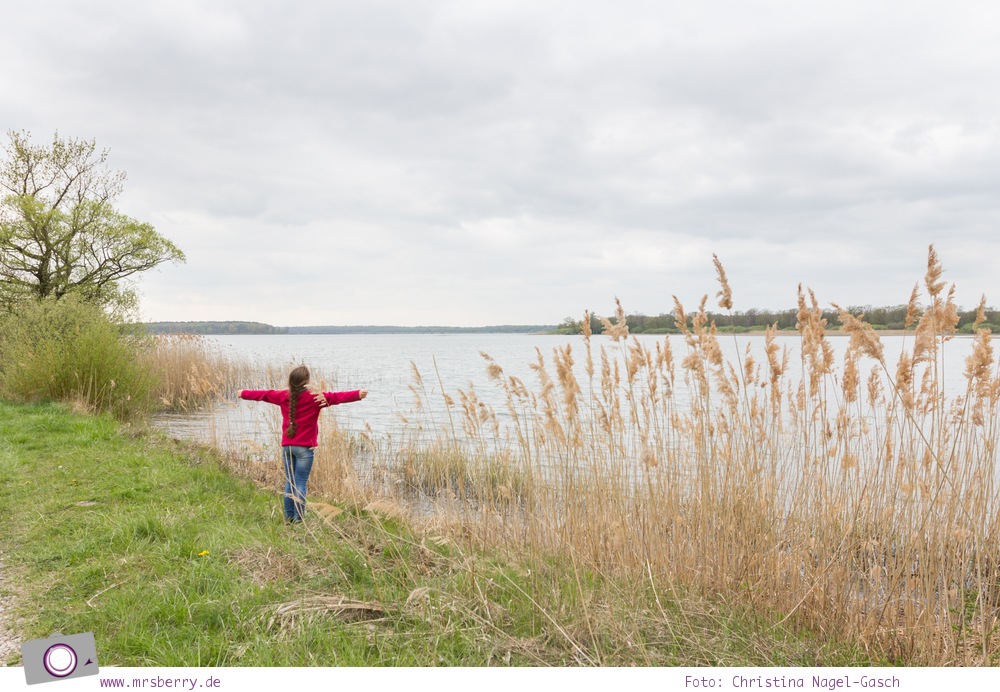 Hausbooturlaub mit Kind in Frankreich: auf dem Rhein-Marne-Kanal in Elsass-Lothringen