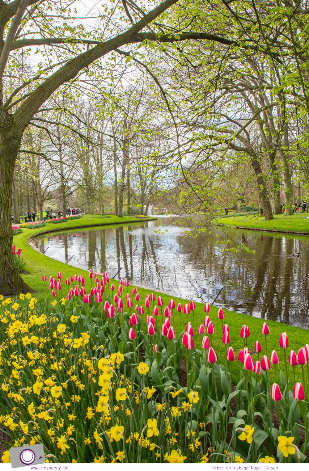 Tipps für ein Wochenende im Frühling in Holland mit Kind und Hund - vom Meer in Noordwijk und Tulpen im Keukenhof: ein Blumenmeer aus Tulpen, Narzissen und Hyazinthen im Keukenhof