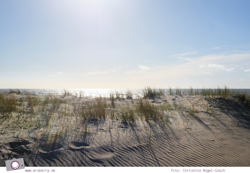 Tipps für ein Wochenende im Frühling in Holland mit Kind und Hund - vom Meer in Noordwijk und Tulpen im Keukenhof: Just Relax - ein Tag am Strand