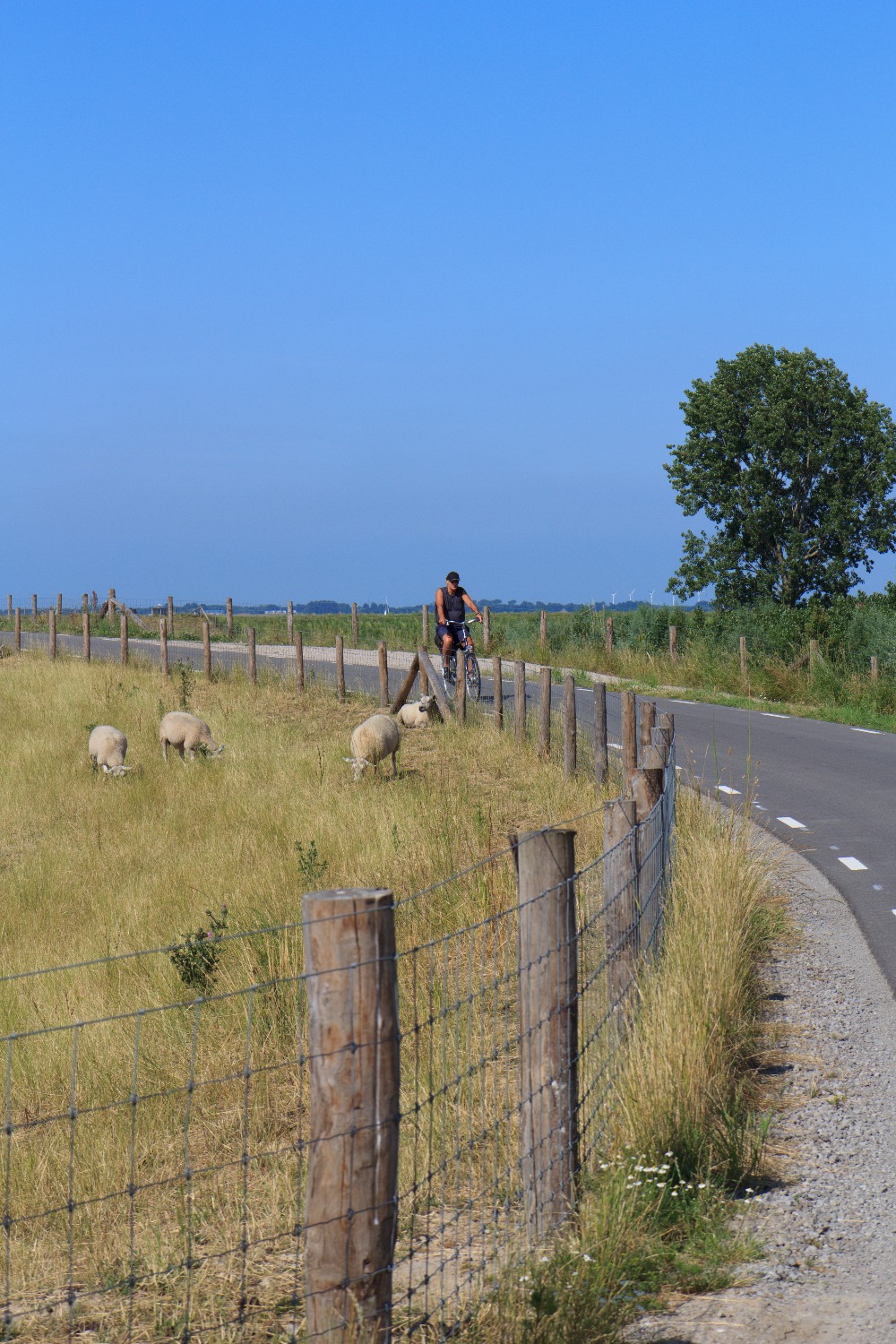Familienurlaub in den Niederlanden - Cycling quiet roads | Bild: Boat Bike Tours