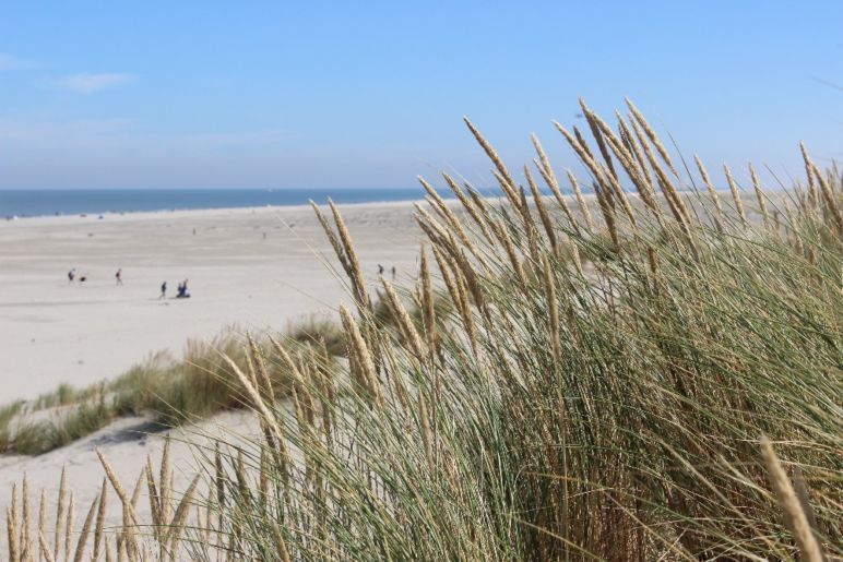 Familienurlaub in den Niederlanden - North Sea Beach | Bild: Boat Bike Tours