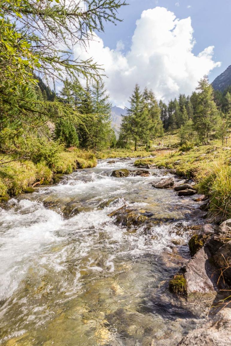 Familienwanderungen im Ahrntal in Südtirol - Wanderung zur Knuttenalm | MrsBerry Familienreiseblog