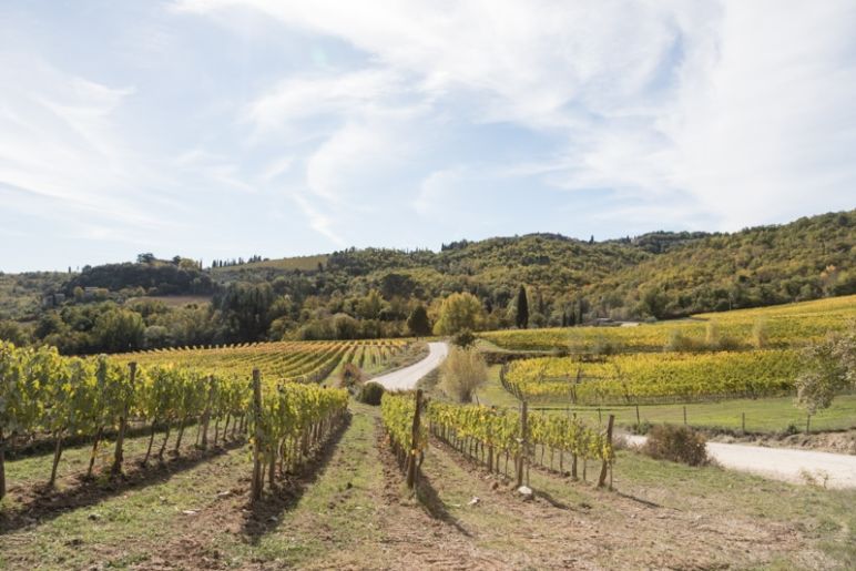 Toskana Urlaub in den Hügeln des Chianti Classico und die schönsten Ausflugsziele im Chianti Gebiet - Wandern durch die Hügel der Chianti Region