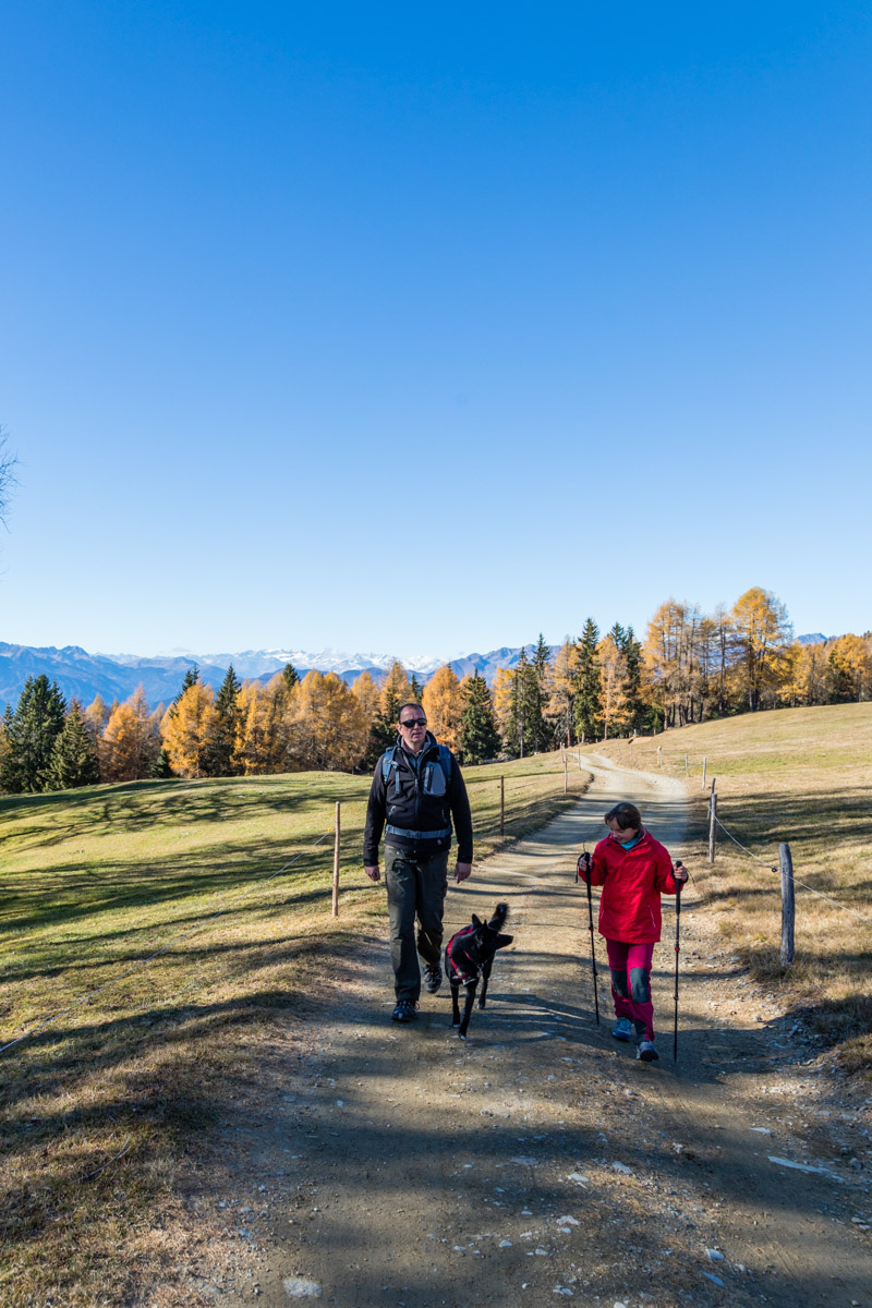 Naturhotel Lüsnerhof - Wellness und Wandern in Südtirol | Wandern mit Kind in den Dolomiten zur Kreuzwiesenalm
