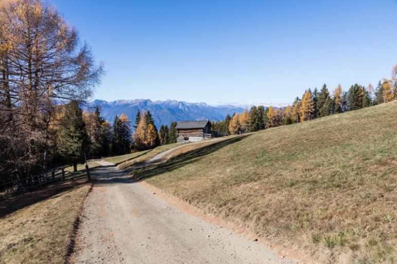 Naturhotel Lüsnerhof - Wellness und Wandern in Südtirol | Wandern mit Kind von Lüsen zur Kreuzwiesenalm