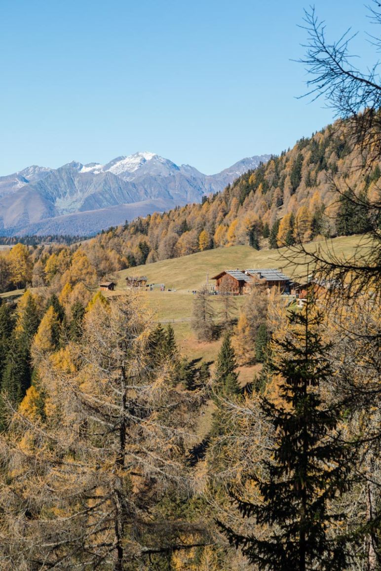 Naturhotel Lüsnerhof - Wellness und Wandern in Südtirol | Wandern mit Kind von Lüsen zur Kreuzwiesenalm