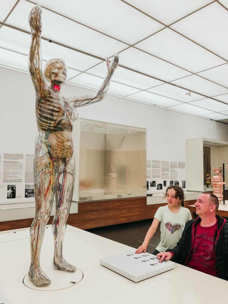 Städtereise Dresden Sehenswürdigkeiten - Die Gläserne Frau, ein Anatomisches Modell, im Deutschen Hygiene-Museum Dresden.
