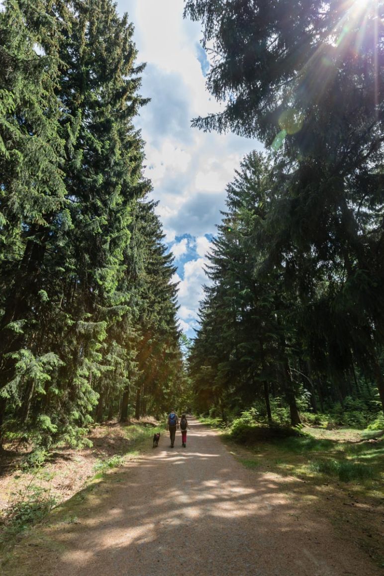 Sächsische Schweiz: Familienurlaub in Hinterhermsdorf - Nationalpark Familien-Wanderung Obere Schleuse