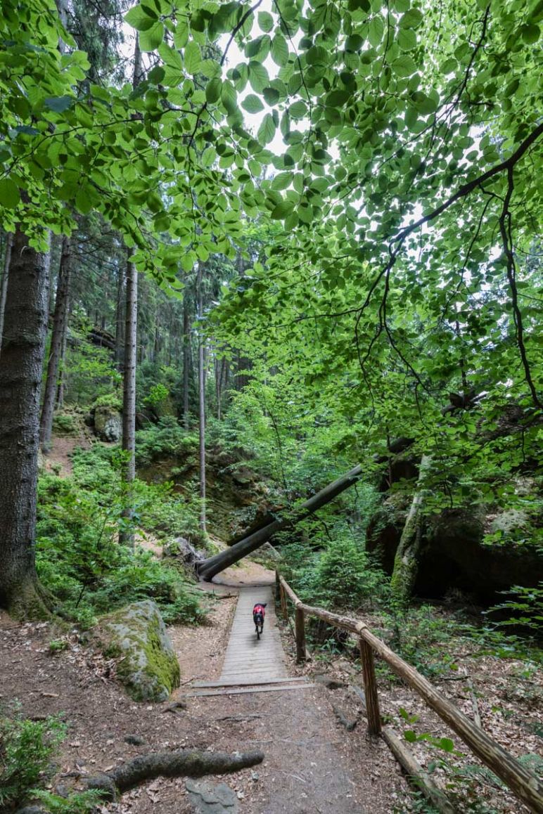 Sächsische Schweiz: Familienurlaub in Hinterhermsdorf - Nationalpark Familien-Wanderung Obere Schleuse