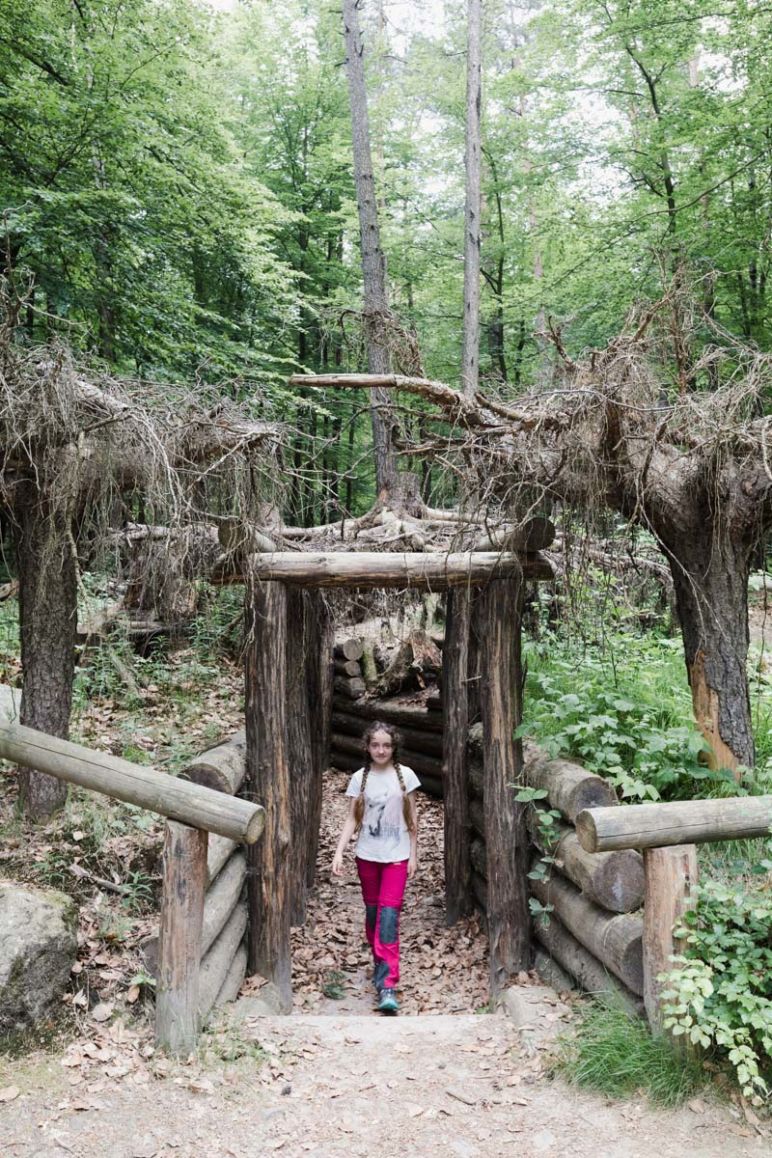 Sächsische Schweiz: Familienurlaub in Hinterhermsdorf - Nationalpark Wandertour durch die Waldhusche für Familien