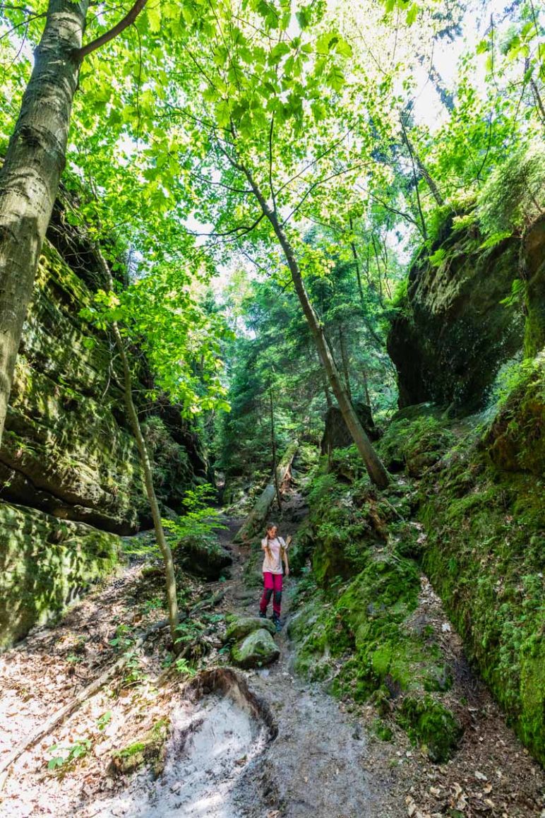 Sächsische Schweiz: Familienurlaub in Hinterhermsdorf - Nationalpark Wanderung Schwedenlöcher und Bastei