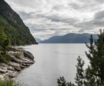 Skandinavien Roadtrip: Tipps zu unserer Rückreise von Norwegen nach Deutschland über Dänemark - Fv 7 mit Panoramablick auf den Hardangerfjord