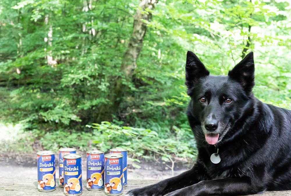 Hundeeis selber machen mit Rinti Drinki, dem Trinksnack für Hunde